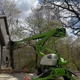 Snyder Logging & Tree Service