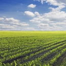 Crop Production Services - Agricultural Consultants