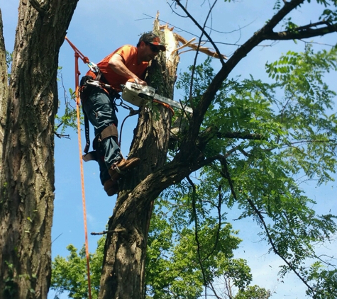 Arbor Quality Tree LLC - Raleigh, NC