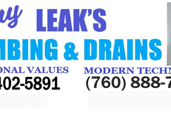 Larry Leaks Plumbing & Drains - Vista, CA