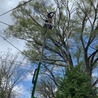 Anthony's Tree Service & Landscape