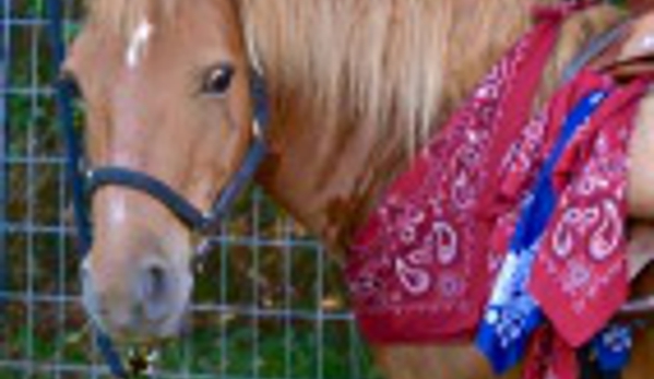 Half Pint Pony Parties & Petting Zoo - Bullard, TX