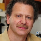 Joshua Bennett Rubin, MD