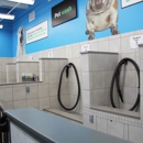 Pet Supplies Plus - Pet Stores