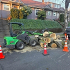 Urban Timber Tree Service Inc