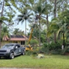 Flo Cuts Landscaping Tree Trimming and Pressure Cleaning gallery