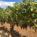 David Arthur Vineyards - Wineries