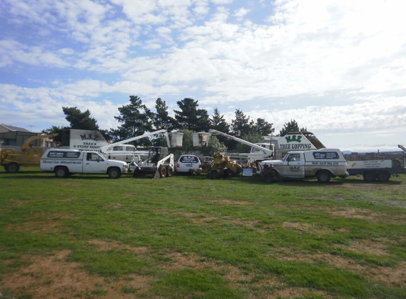 MSZ Tree Lopping Service
