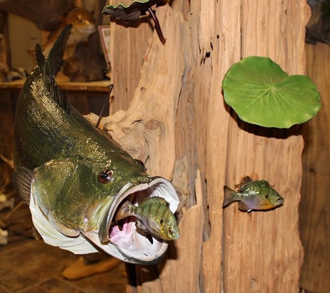 Wildlife Reflections Taxidermy - French Settlement, LA