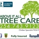 Above It All Tree Care