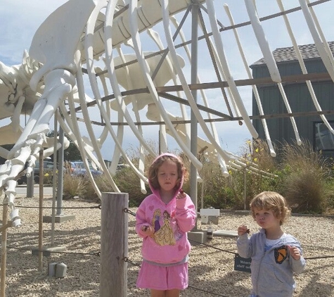 Seymour Marine Discovery Center