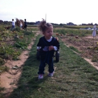 Stakey's Pumpkin Farm