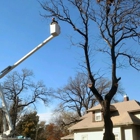 Affordable Tree Service