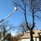 Affordable Tree Service