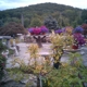 Hickory Hollow Nursery & Garden Center