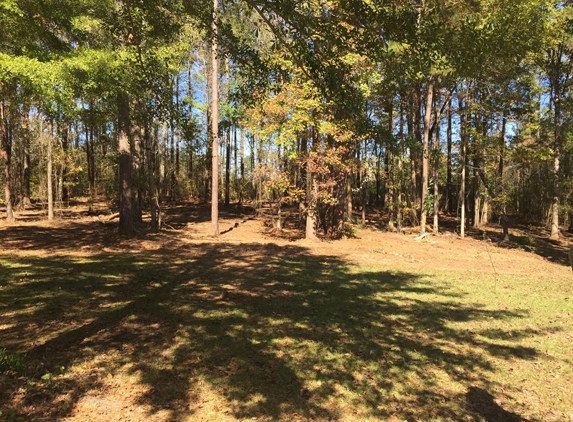 Brelands Land Clearing & Forestry Mulching - Shreveport, LA