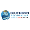 Blue Hippo Restoration gallery