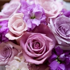 Phillip's Flowers & Gifts