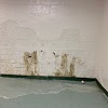 Guaranteed Property And Mold Inspection gallery