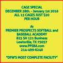 Premier Prospects Softball and Baseball Academy - Batting Cages