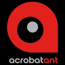 AcrobatAnt - Web Site Design & Services