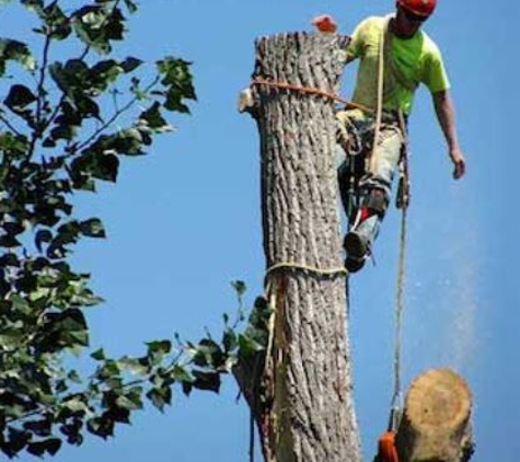 A1 Tree Service - Peoria, IL