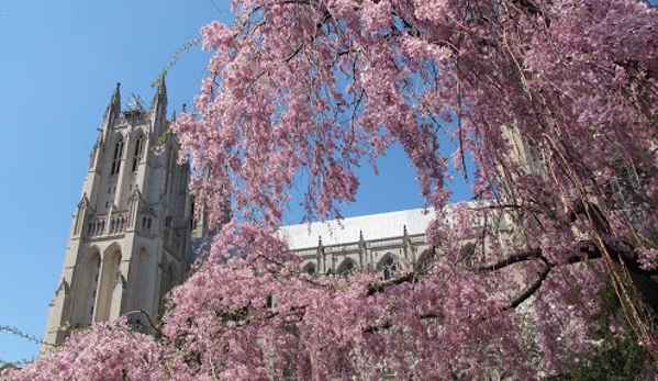 Washington National Cathedral - Washington, DC