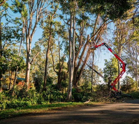 GTS Trees - Boonah, QLD
