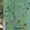 Armstrong Redwoods State Natural Reserve gallery