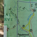 Armstrong Redwoods State Natural Reserve - Parks