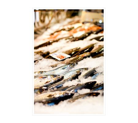 Poulos Bros Seafoods Pty Ltd - Pyrmont, NSW