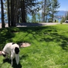 Tahoe Vista Recreation Area gallery