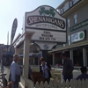 Shenanigan's gallery