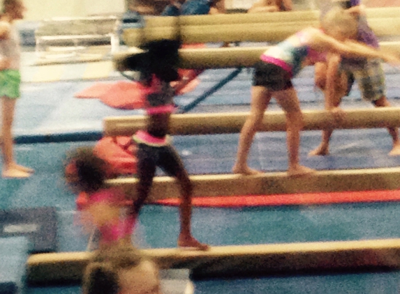 World Class Gymnastics - Belleville, IL