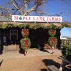Maple Lane Farm & Market
