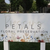 Pressing Petals gallery