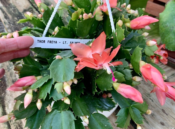 Rose Floral & Greenhouse - Stillwater, MN