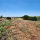 DropTine Land Clearing and Excavation