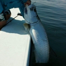 Captain Dustin Fishing Charters - Fishing Charters & Parties