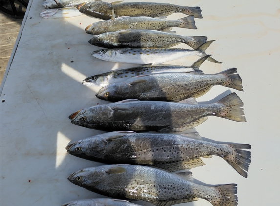 Alabama Girl Fishing - Gulf Shores, AL