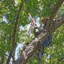 Omni Tree Service, Inc. - Arborists