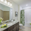 The Point at Bella Grove - Apartments