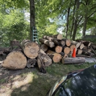 Anthony's Tree Service & Landscape