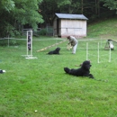 Morning Sun Kennel LLC (OPEN MAY-SEPT) - Pet Boarding & Kennels