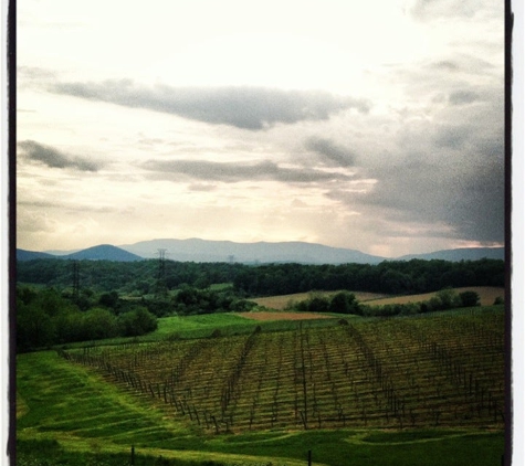 Barren Ridge Vineyards - Fishersville, VA