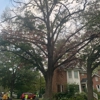 All Good Lawn & Tree Services gallery