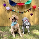 The Bark Haus - Pet Boarding & Kennels