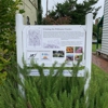 Beaufort Historical Association gallery
