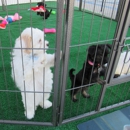 Puppy Pawties & Playtime - Petting Zoos
