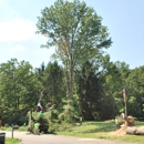Berra Tree Experts - Landscape Contractors